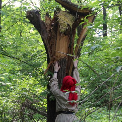 Обряд активации жизненной энергии женщины в лесу